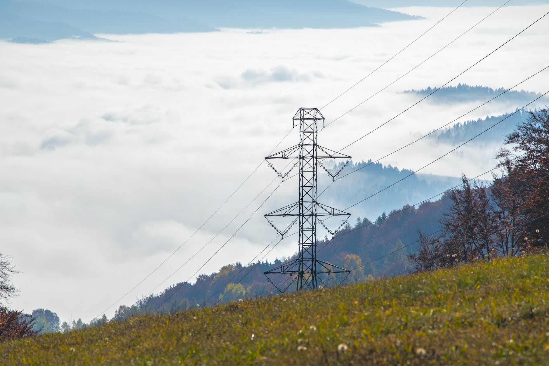 Flexibility Solution to Network Reinforcement