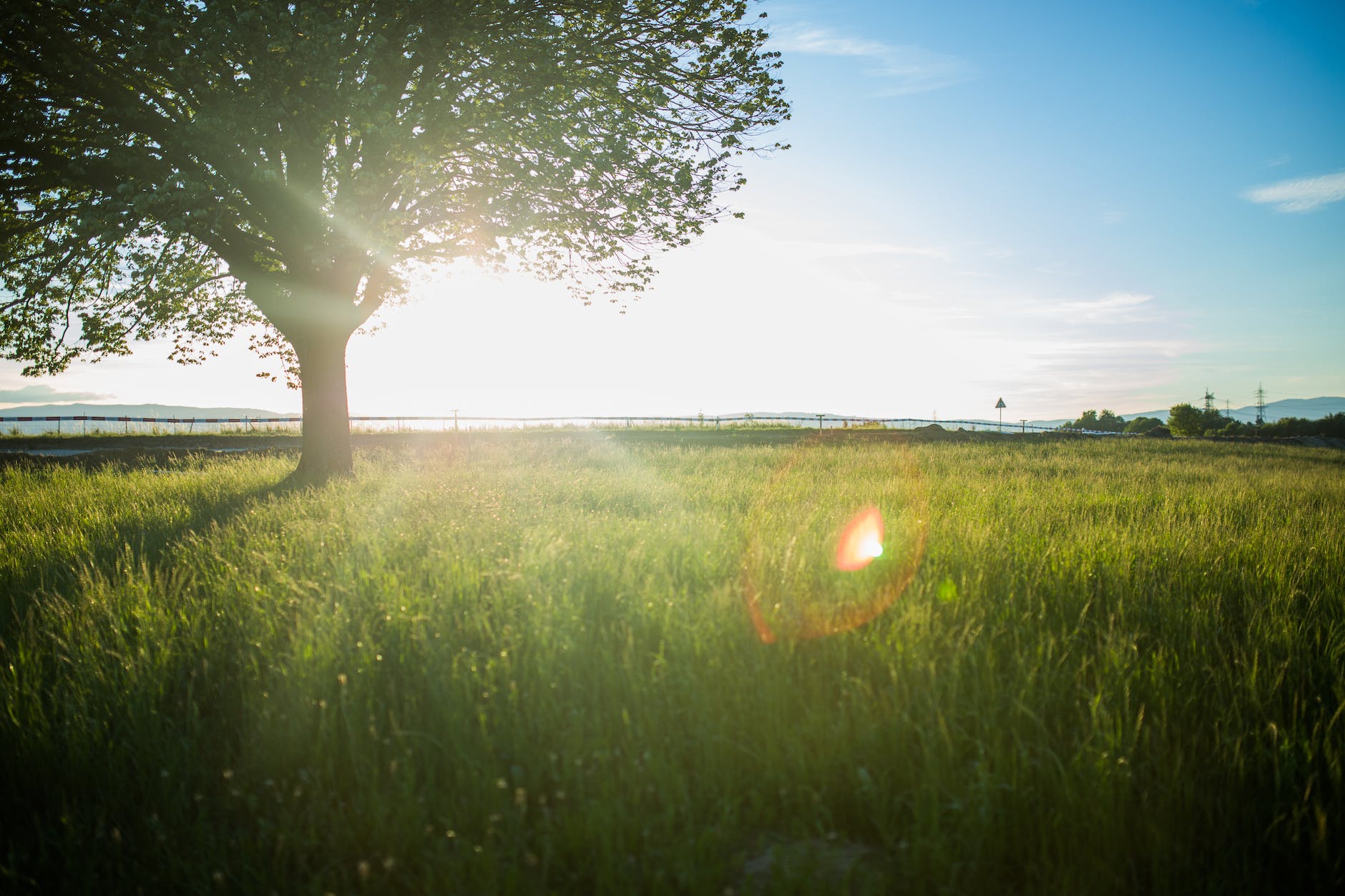 The UK’s Target to Decarbonise Electricity Generation by 2035
