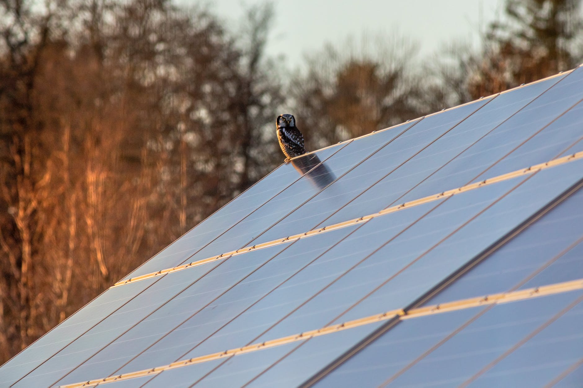 Record Number of Solar Panels and Heat Pumps Installed